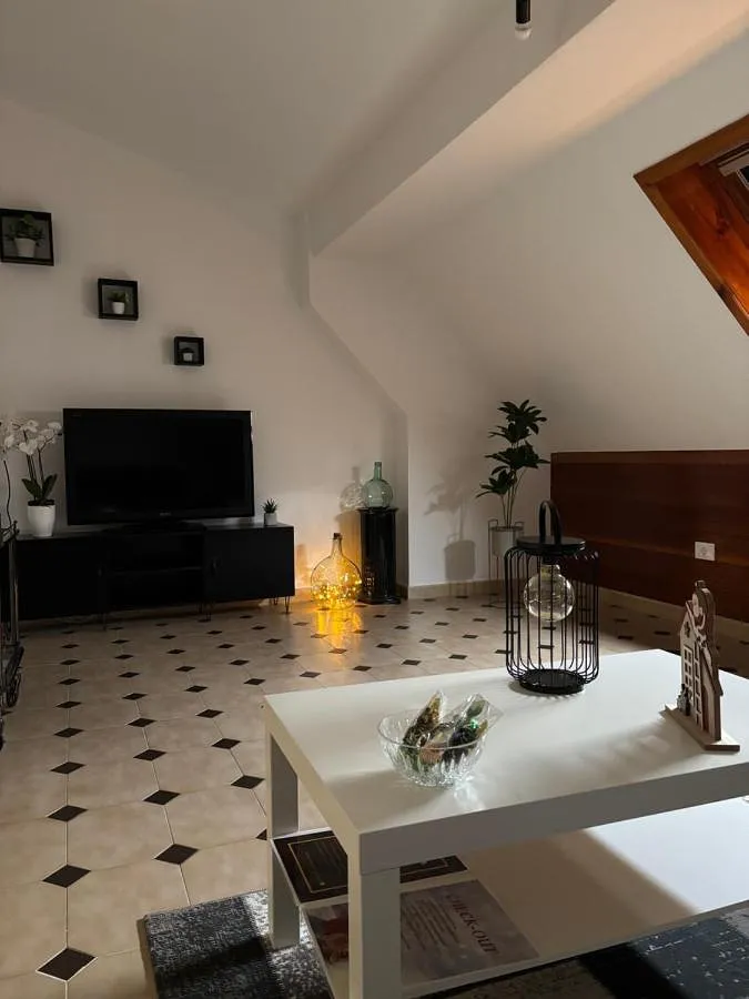 Appartement de vacances pour 8 personnes, avec vue, animaux acceptés - 1
