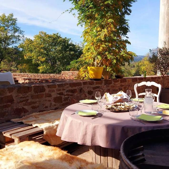 Location de vacances pour 4 personnes, avec terrasse, animaux acceptés à Bosc - 2