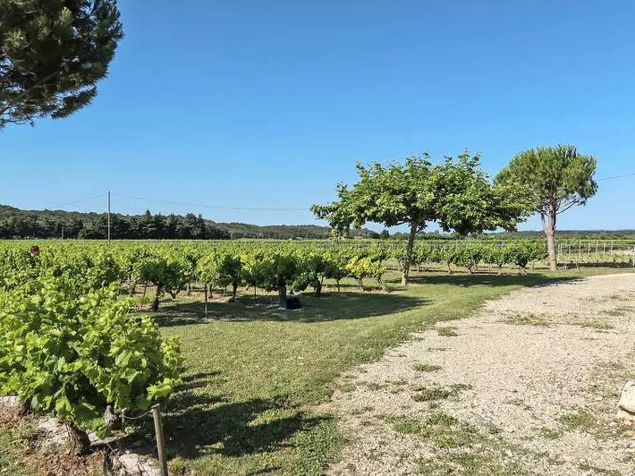 Location de vacances pour 4 personnes, avec terrasse à Grillon - 3