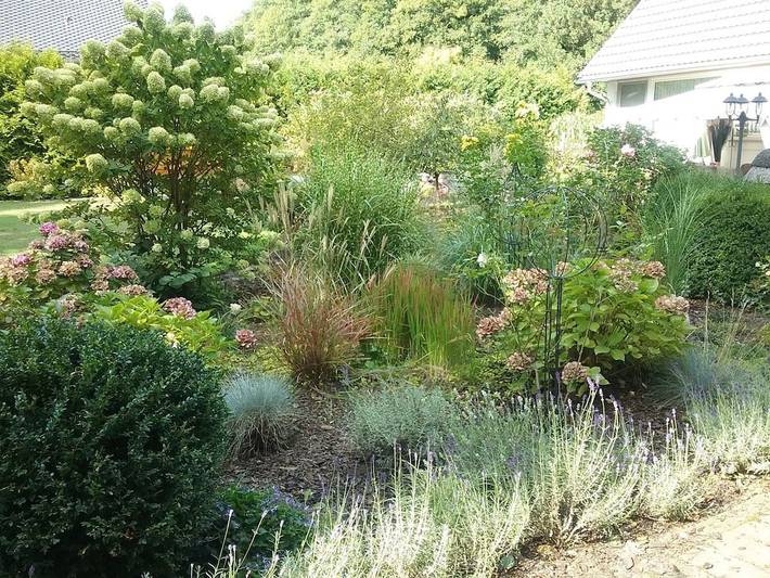 Ferienhaus für 2 Personen, mit Garten und Pool in Naturpark Barnim - 4