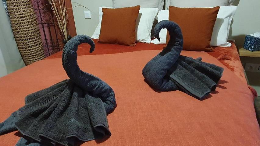 Chambre d’hôte pour 2 personnes, avec piscine ainsi que jardin et vue à Beaucaire - 2