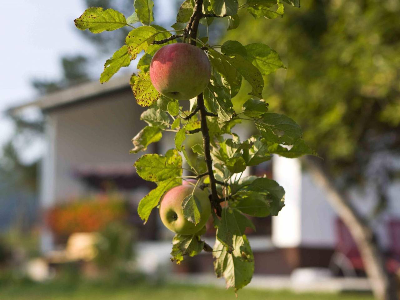 "Lana" mit Whirlpool in Rudanovac, Plitvicer Seen