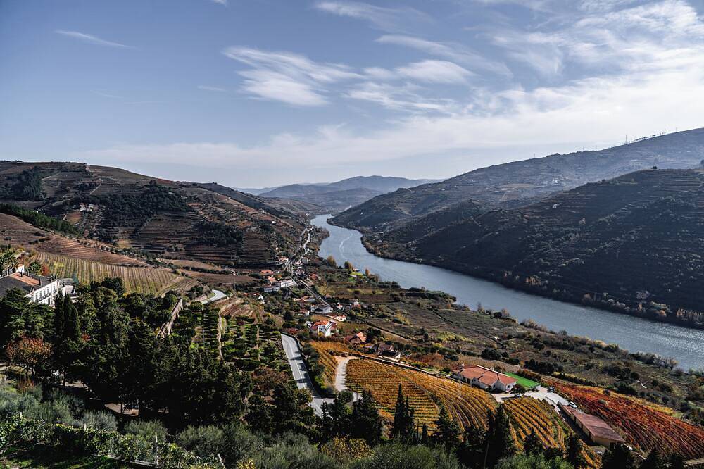 Pouso dos Pousos - A fantastic view of the Douro, to contemplate, slowly in Serra do Marão, Mesão Frio (Santo André)