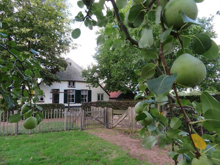 Chambre d’hôte pour 2 personnes, avec Terrasse ainsi que Jardin et Vue dans Hoge Veluwe