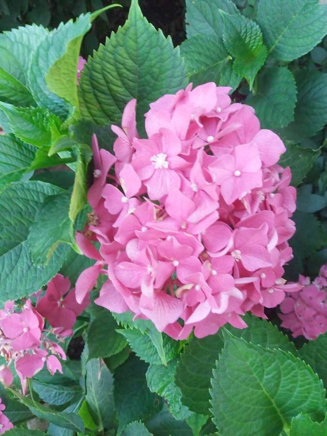 Maison d’hôte pour 4 personnes dans Međugorje - 2