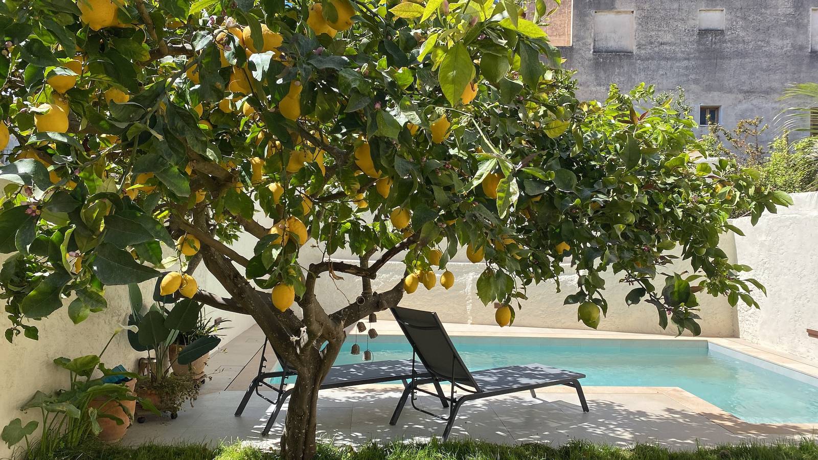 Casa Llimoner, con piscina y jardín. Muy cerca del centro en Sant Lorenç. in San Lorenzo de Cardessar, Mallorca Este