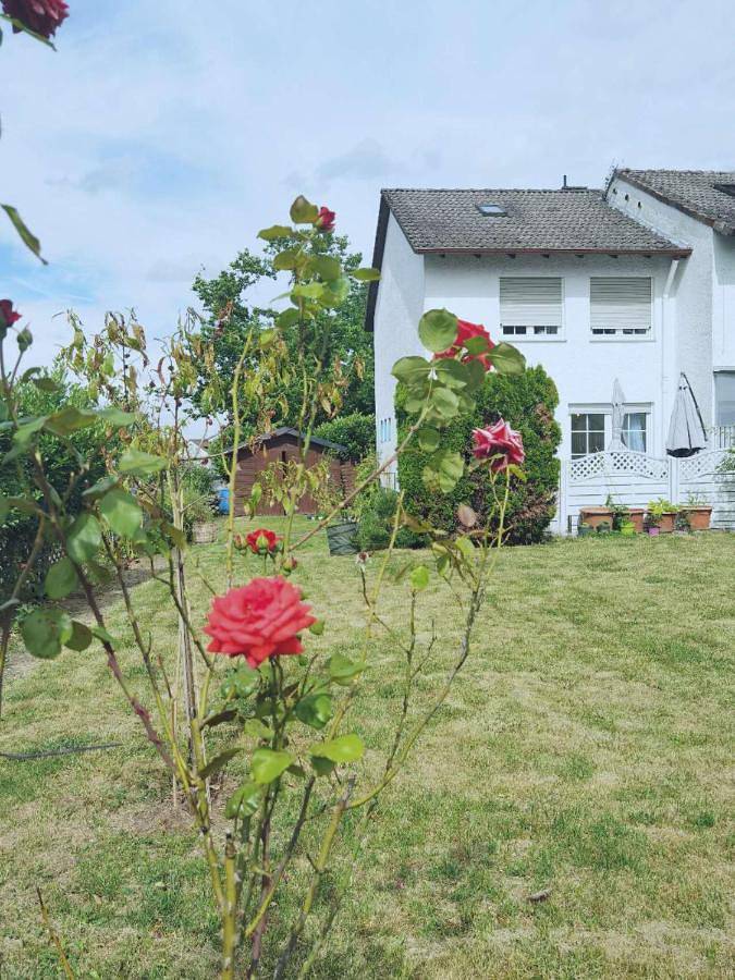 Ferienhaus für 4 Personen, mit Ausblick und Garten, mit Haustier in Dreieich