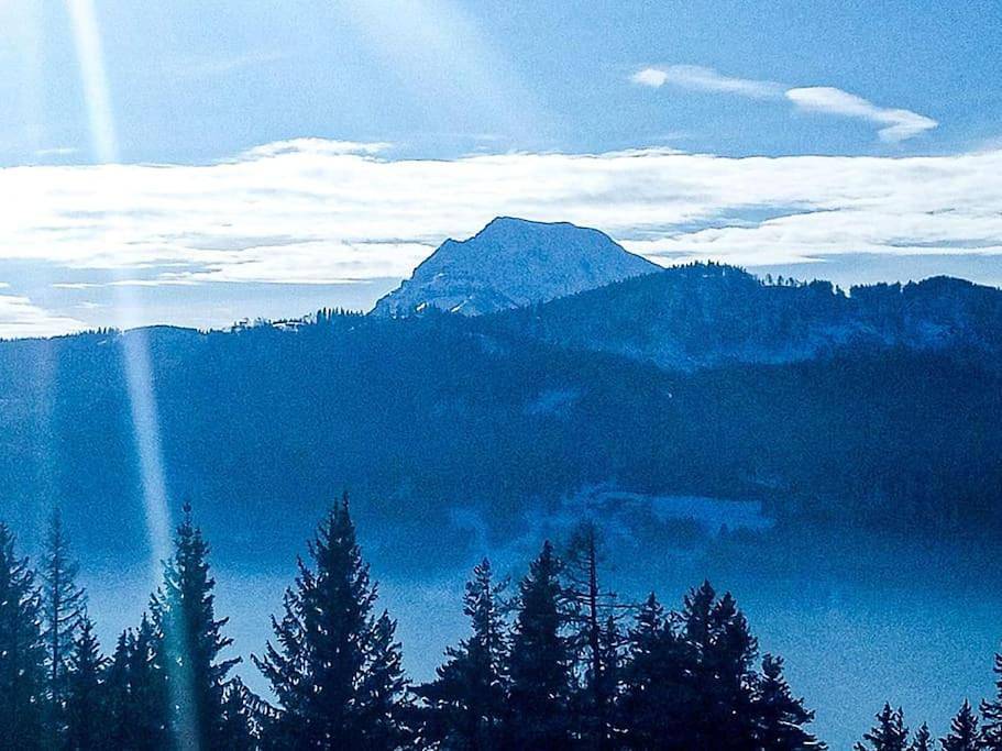 Almhütte in Alleinlage Offgrid in Puchenstuben, Mostviertel Region