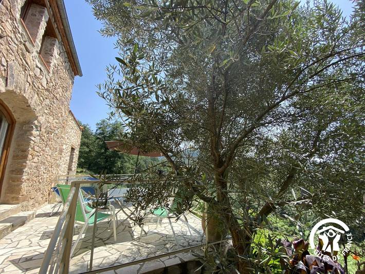 Gîte pour 4 personnes, avec terrasse à Saint-Laurent-de-Cerdans - 4