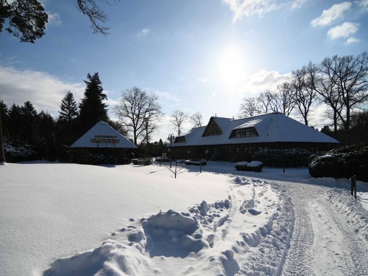 Ganze Ferienwohnung, Appartement Whispering Tree Groß - Whispering Tree* in Ankum, Hasetal