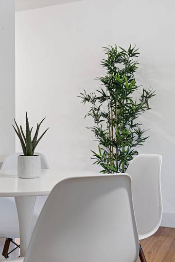 Lägenhet för 4 Personer i Fort Lauderdale, Broward County, Bild 3