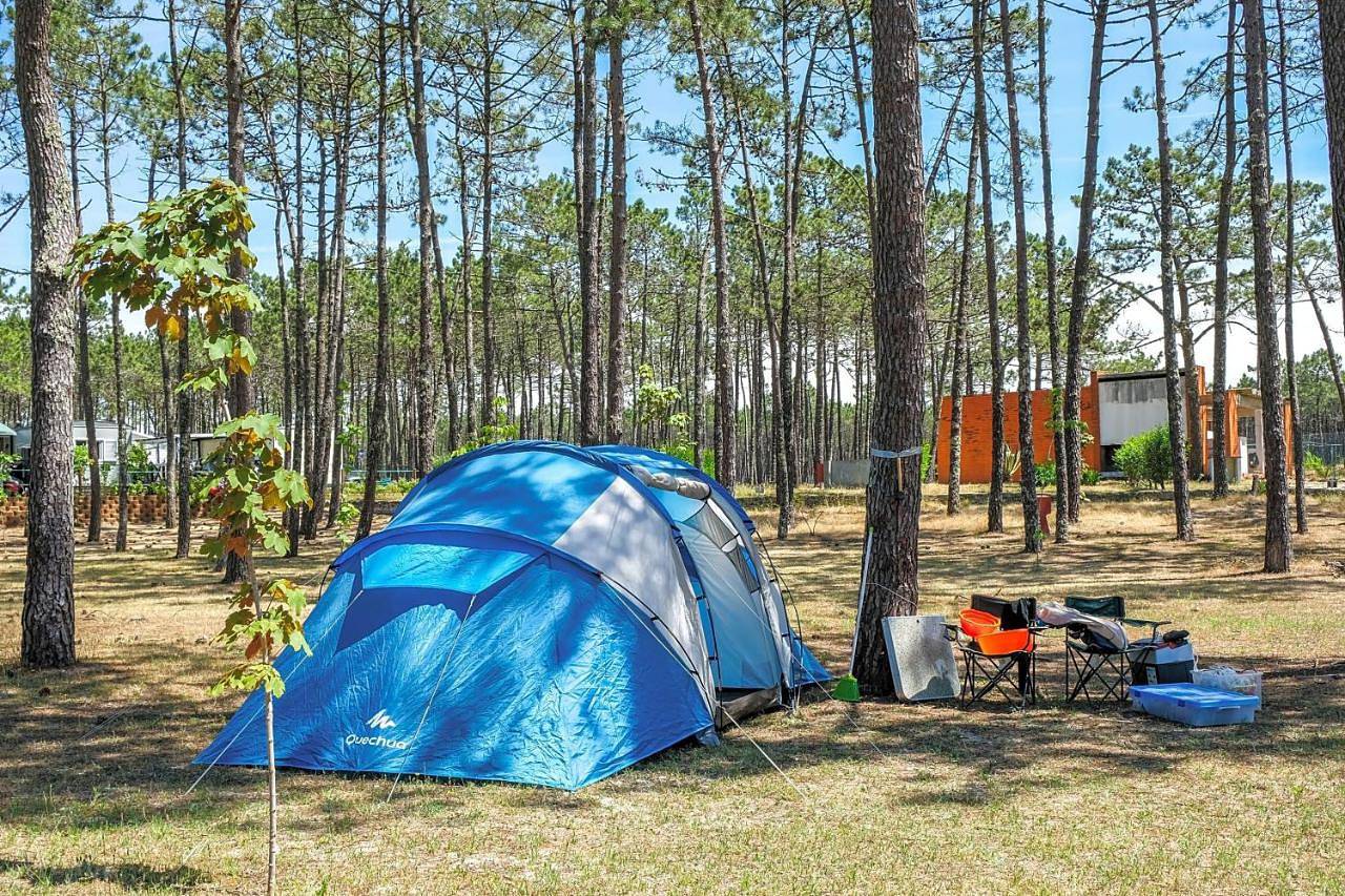 Cantinho da Floresta in São Brás, Terceira