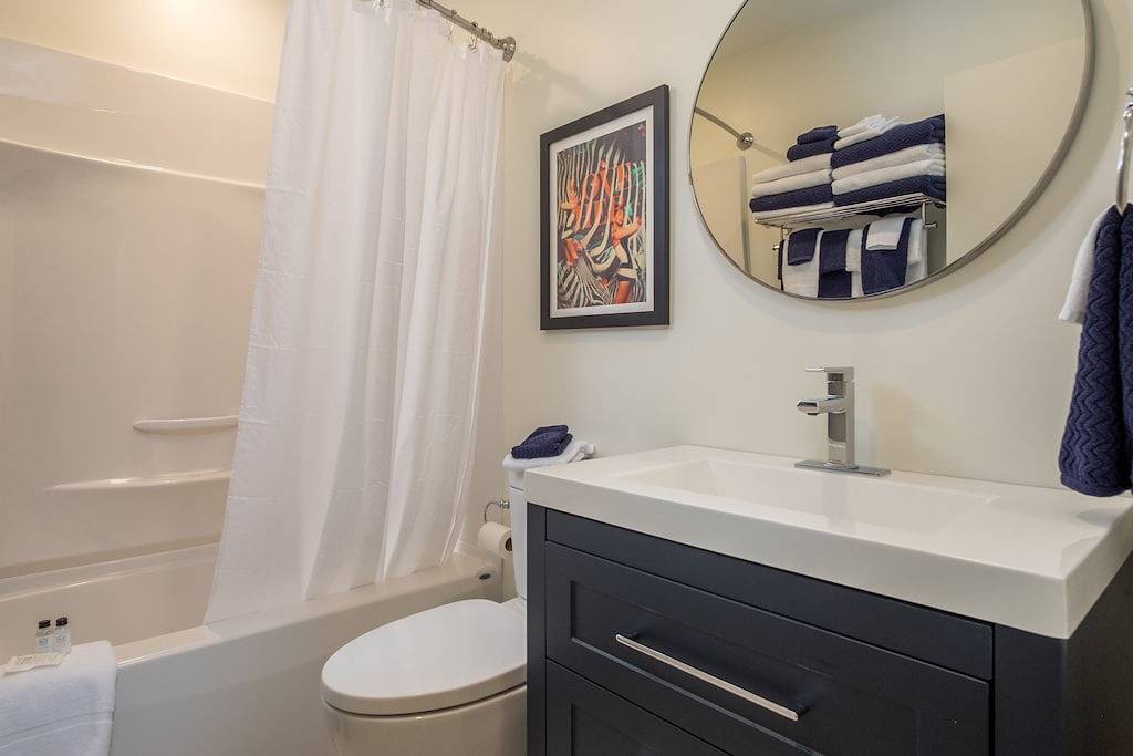 Winter Wren Mount Washignton Village in Mount Washington (BC)