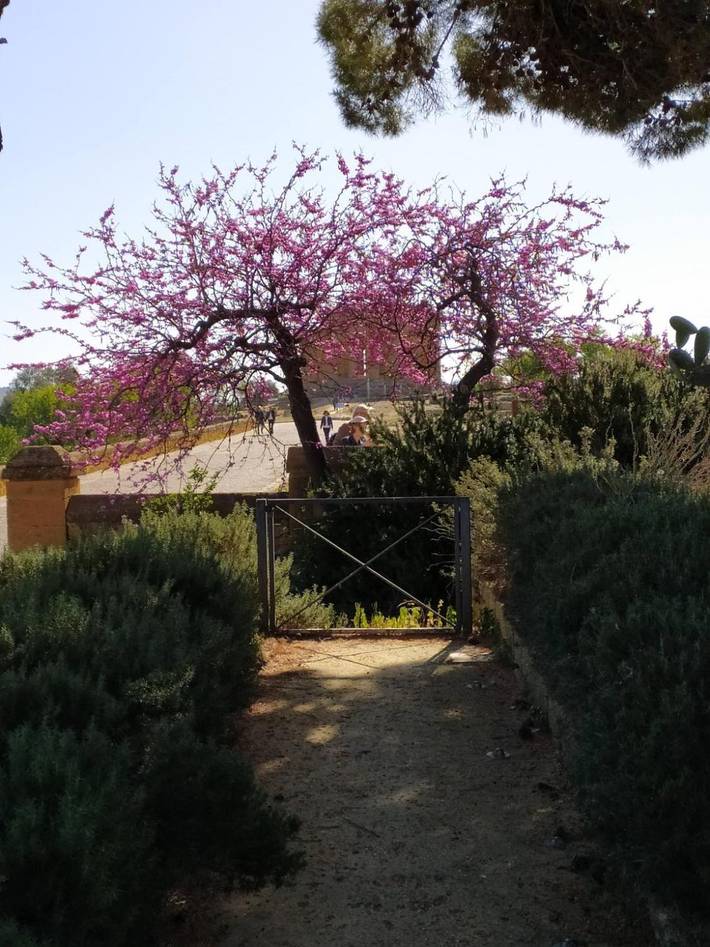 Location de vacances pour 2 personnes, avec Vue sur l’océan et Balcon/Terrasse à Agrigente - 3