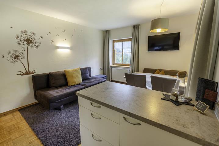 Ganze Ferienwohnung, Appartement 1 in Bregenzerwald (Vorarlberg), Schröcken