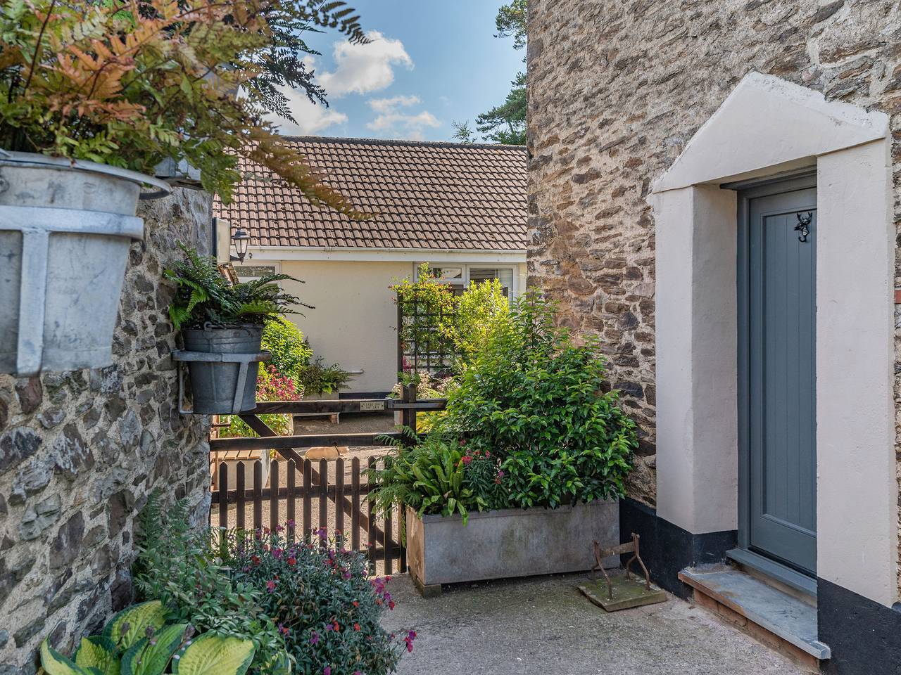 Hoglets in Exford, Somerset