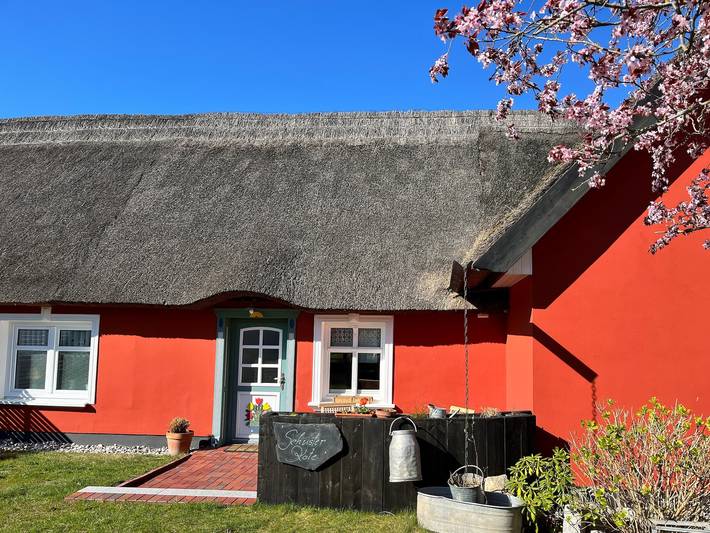 Ferienhaus für 2 Personen, mit Terrasse in Zempin - 2