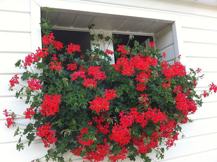Gîte pour 2 personnes, avec jardin dans Orne - 4