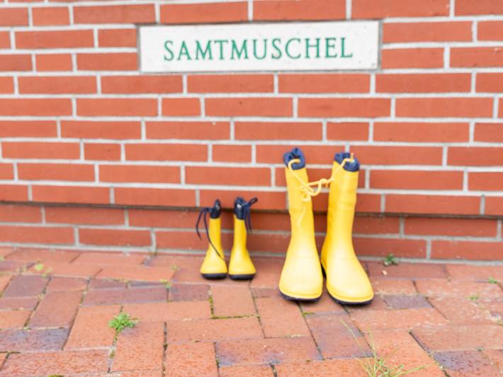 Ferienhaus für 4 Personen, mit Terrasse und Garten in Norddeich - 2