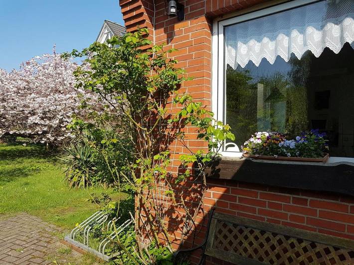 Ferienhaus für 6 Personen, mit Terrasse und Garten in Balje - 3