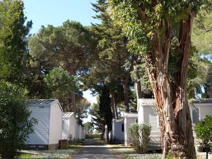 Camping Sunelia Ma Prairie - Mobilheim 4 personen - Sunêlia Confort Pinède in Canet-en-Roussillon, Côte d'Améthyste