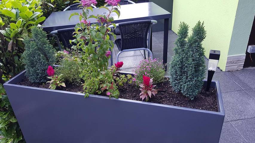 Gîte pour 5 personnes, avec jardin et terrasse, animaux acceptés à Kaysersberg - 4