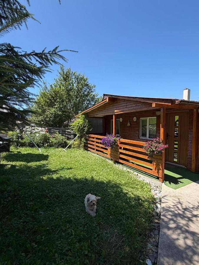 Location de vacances pour 4 personnes, avec Terrasse ainsi que Jardin et Vue dans Dorna-Arini - 2