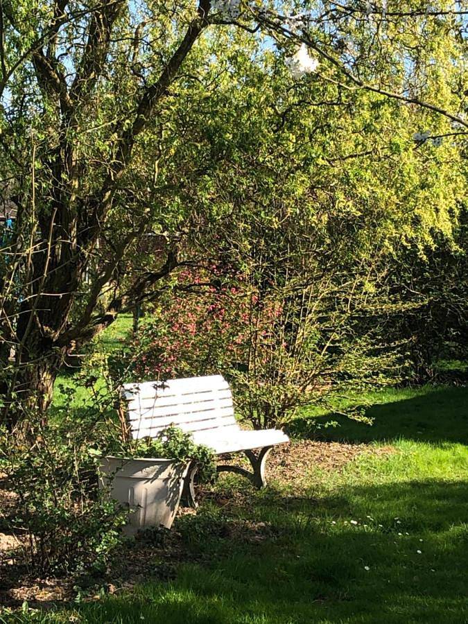 Chalet pour 3 personnes, avec jardin et vue, animaux acceptés dans le Nord-Pas-de-Calais - 2
