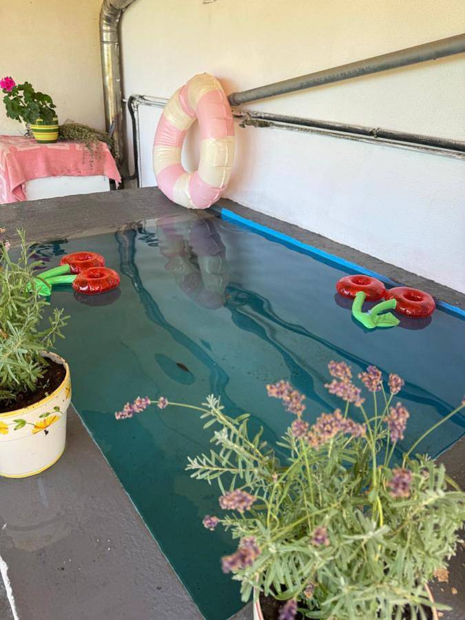 Location de vacances pour 10 personnes, avec vue et jardin à Lamego - 2