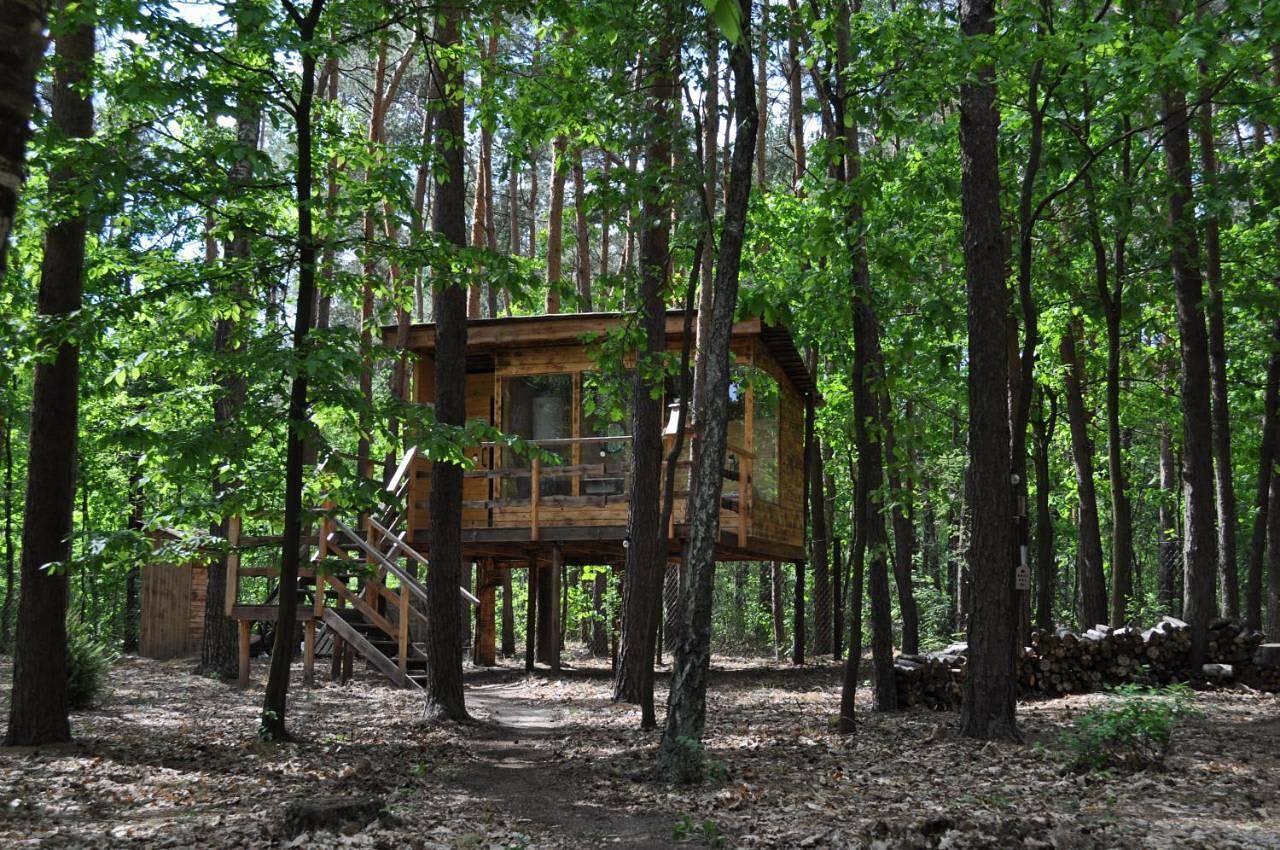 Domek na Drzewie - Leśna Przystań in Región de Lublin