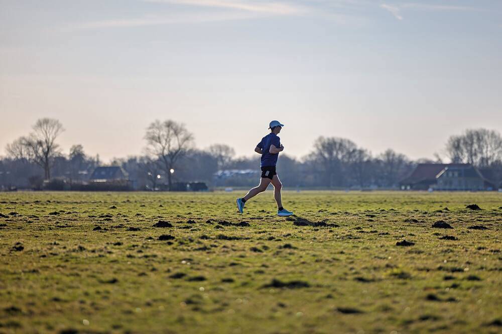 Ganze Wohnung, Unobstructed view of meadow, near Leiden in Warmond, Groene Hart