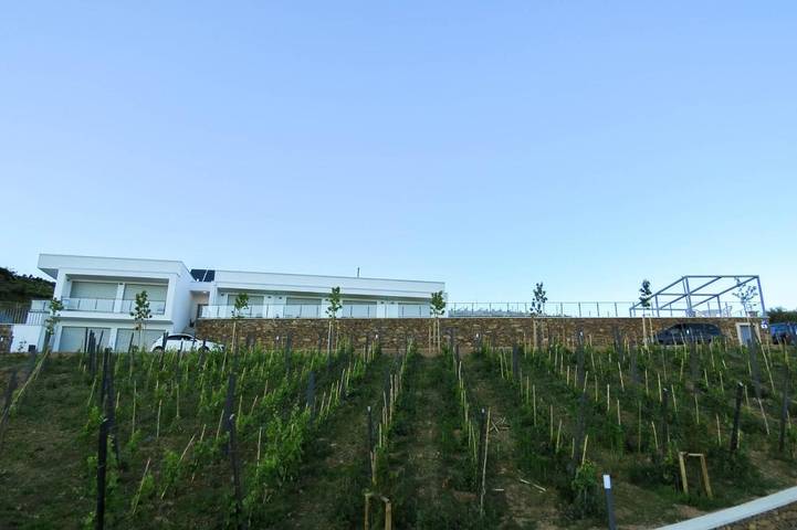 Location de vacances pour 4 personnes, avec piscine et jardin dans Mesão Frio - 4