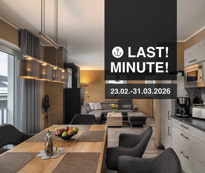 Ferienhaus für 6 Personen, mit Balkon und Sauna, kinderfreundlich - 1