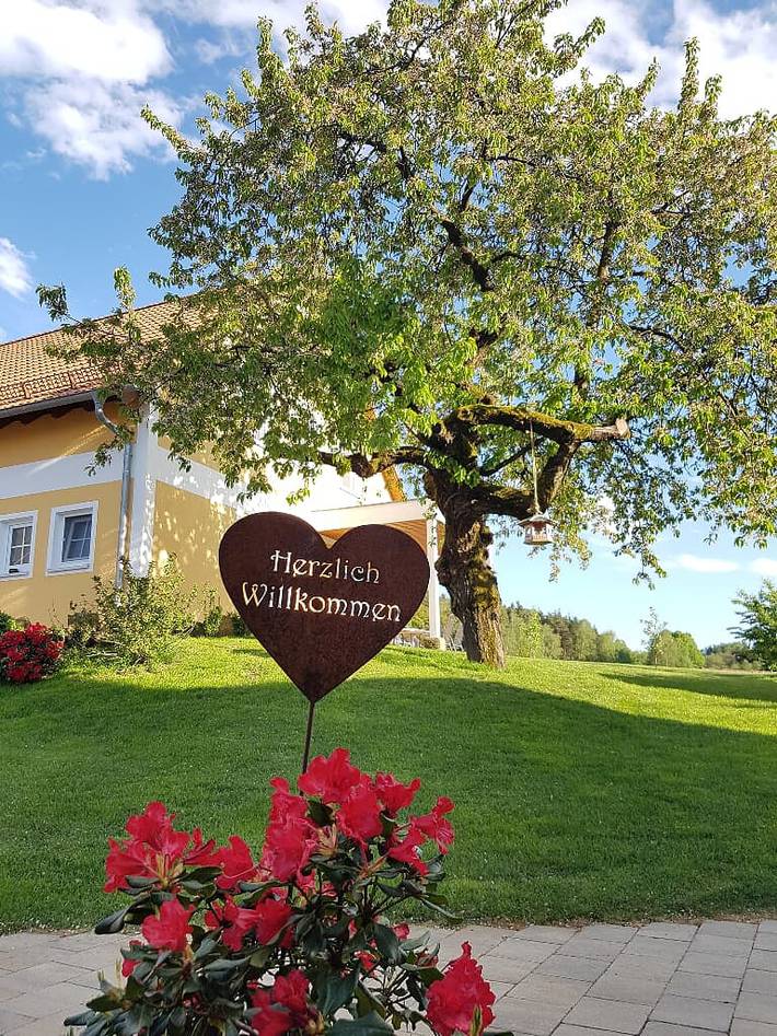 Ferienwohnung für 5 Personen, mit Garten und Sauna, kinderfreundlich - 1