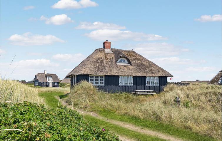 Ferienhaus für 5 Personen, mit Garten und Terrasse, mit Haustier in Blavand - 3