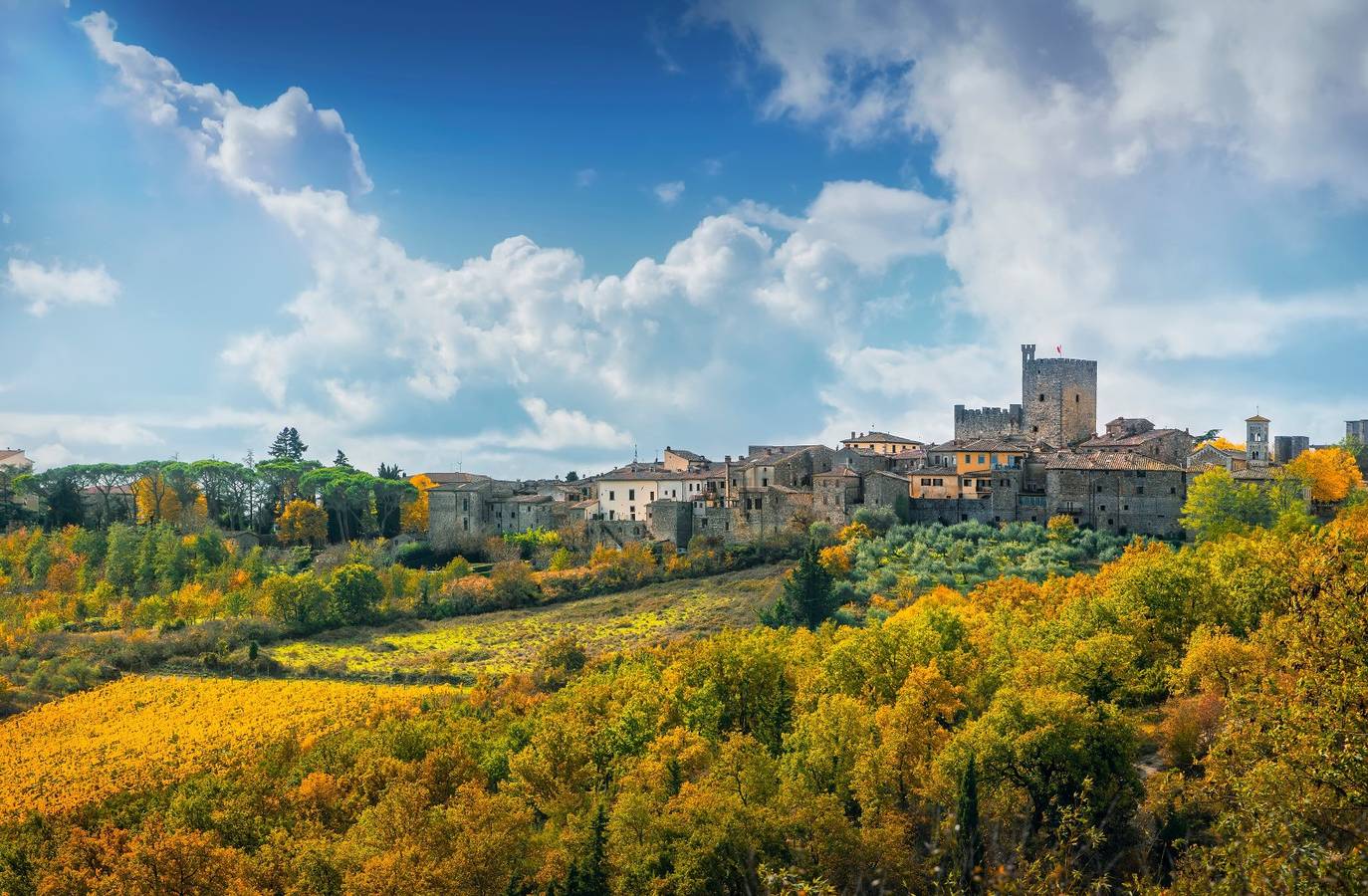 Apartamento entero, Apartamento 'Poggio Della Capannina Di Castellina in Chianti' con jardín privado y Wi-Fi in Castellina in Chianti, Chianti