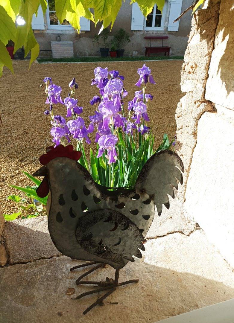 Maison Les Iris - 3 chambres 3 sdbain - 3 à 6 pers. - Futuroscope in Avanton, Vienne (France)