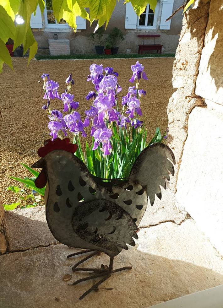 Gîte pour 6 personnes, avec jardin à Vienne (France) - 2