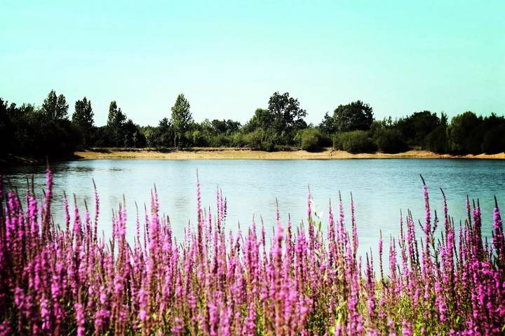 Camping für 4 Personen, mit Terrasse im Loire-Tal
