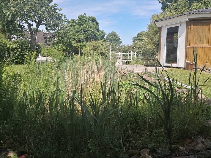 Ferienwohnung für 2 Personen, mit Garten und Ausblick in Bleckede - 3