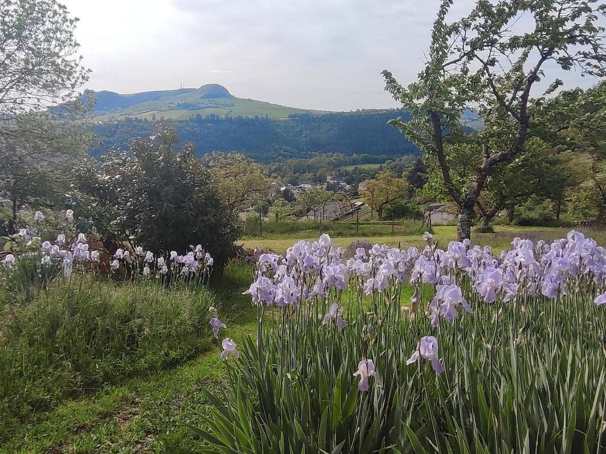 Maisonnette de vignes avec vue imprenable in Marvejols, Région de Mende