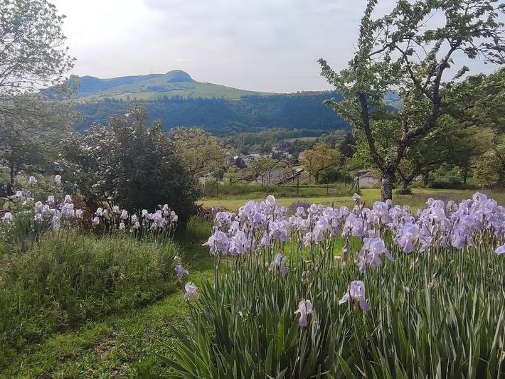 Maison de vacances pour 3 personnes, avec Terrasse et Jardin ainsi que Piscine et Vue