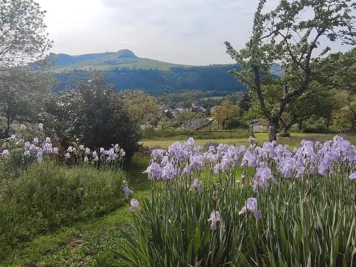 Holiday home for 3 people, with garden and pool as well as view - 1