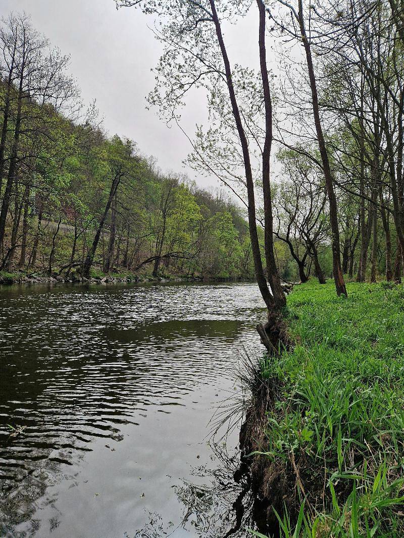 Ganze Ferienwohnung, Ferienhaus Reschwitzer Auszeit - Ferienhaus in Saalfelder Höhe, Saalfeld/Saale