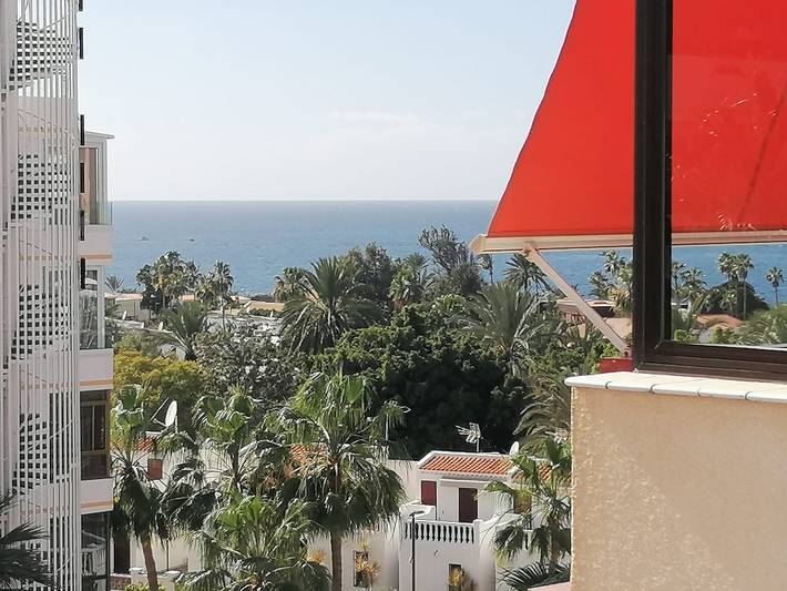 Gîte pour 2 personnes, avec jardin à Costa Adeje - 4