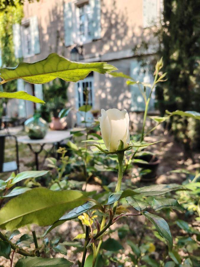 Appartement de vacances pour 4 personnes, avec vue ainsi que jardin et terrasse