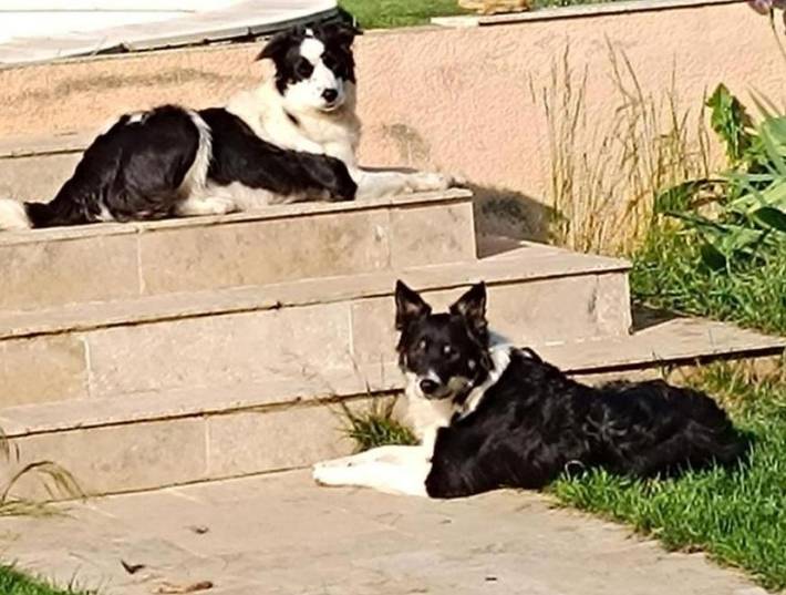 Maison de campagne pour 2 personnes, avec vue ainsi que jardin et piscine à Régusse - 3