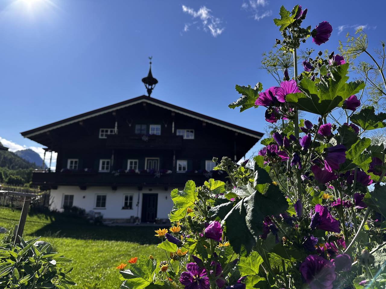Geheel vakantieappartement, Obinghof in Fieberbrunn, Saalbach-Hinterglemm