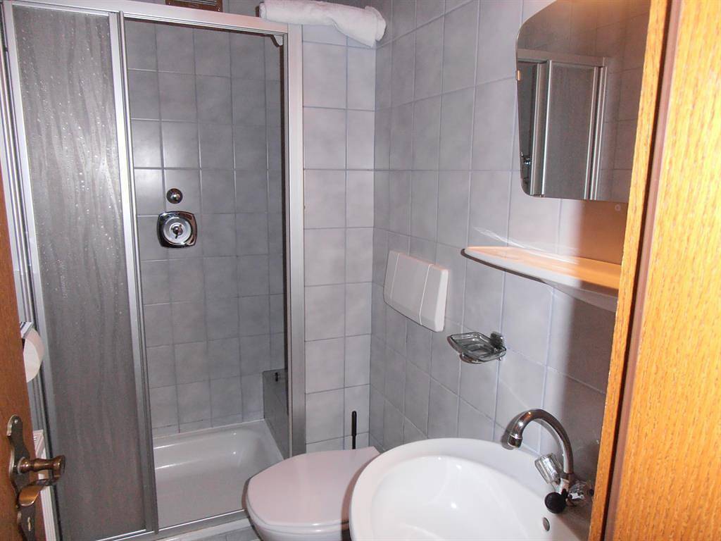 Ganze Ferienwohnung, Appartement Hartl in Mittersill, Kitzbüheler Alpen