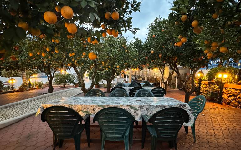 Gîte pour 5 personnes, avec piscine, animaux acceptés dans Alcantarilha - 3
